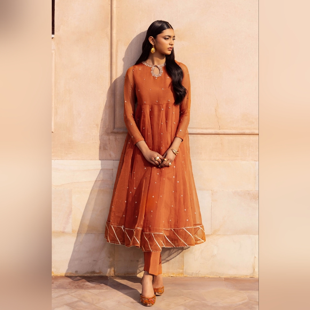 Embroidered Organza Suit - 2pc